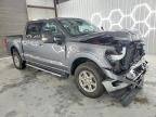 2024 Ford F150 xlt