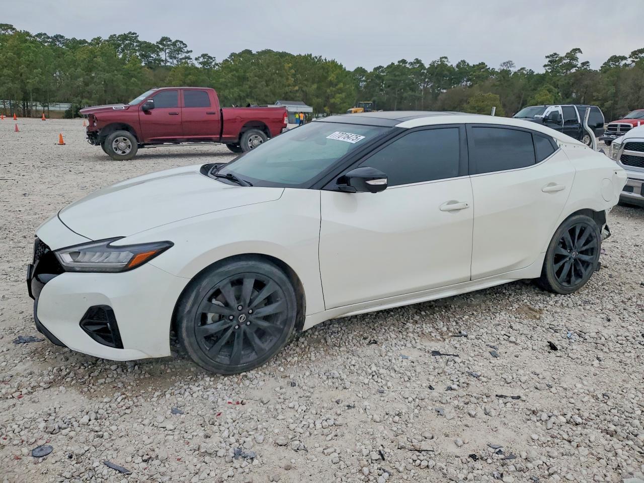 2021 Niss Maxima