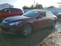 Honda salvage cars for sale: 2012 Honda Accord exl