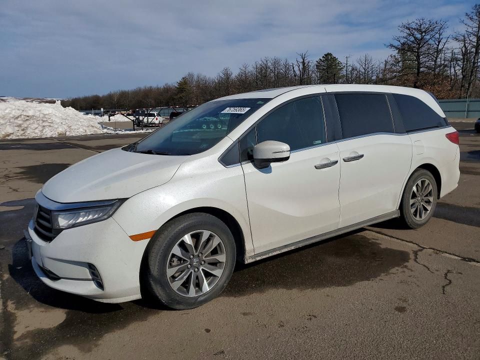 2021 Honda Odyssey exl