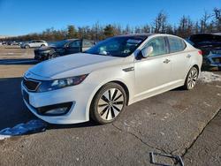 KIA Optima sx salvage cars for sale: 2011 KIA Optima sx