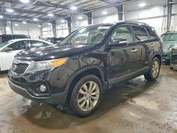 KIA salvage cars for sale: 2011 KIA Sorento ex