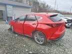 2025 Lexus Nx 350h Premium
