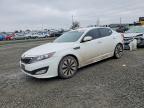 2013 KIA Optima sx