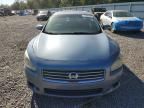 2010 Nissan Maxima s