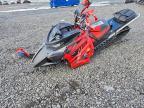 2021 Arca 2021 Arti M800
