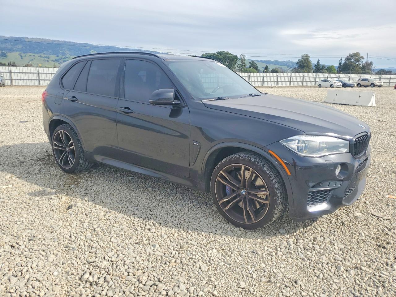 2015 BMW X5 m