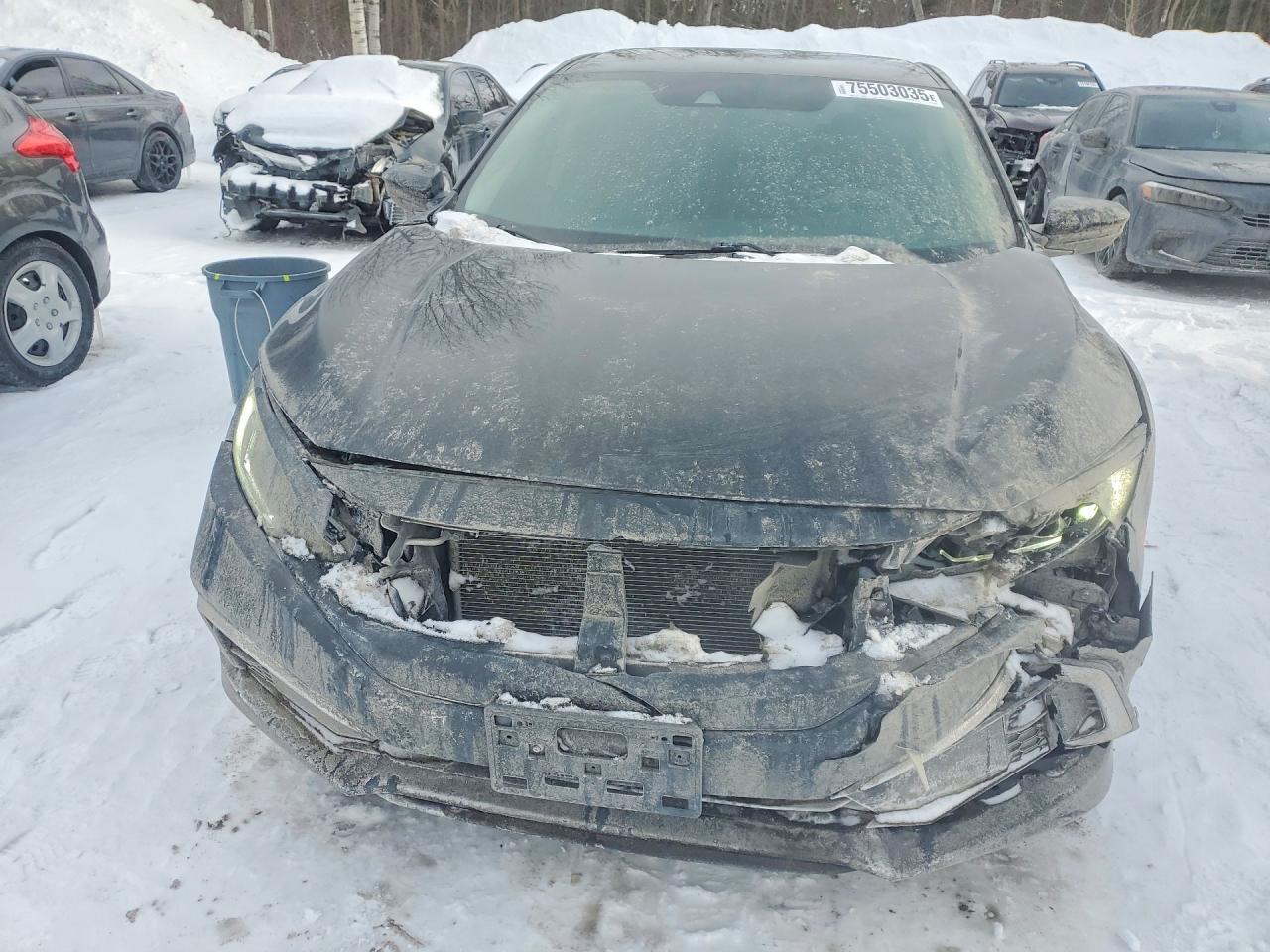 2019 Honda Civic lx