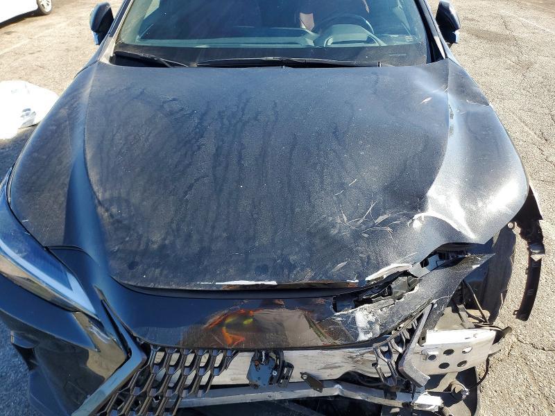 2024 Lexus Nx 350h Base