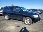 2007 Toyota Highlander Hybrid