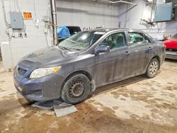 Salvage cars for sale from Copart Moncton, NB: 2010 Toyota Corolla Base