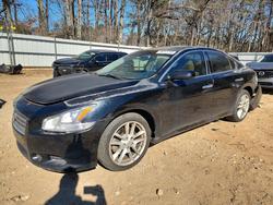 Niss Maxima salvage cars for sale: 2009 Niss Maxima