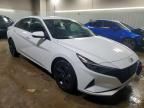 2023 Hyundai Elantra Blue