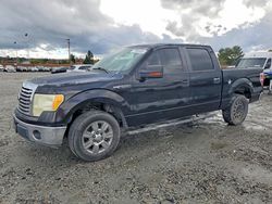 Salvage cars for sale from Copart Mentone, CA: 2010 Ford F150 Supercrew