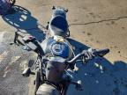 2022 Honda CMX1100 D