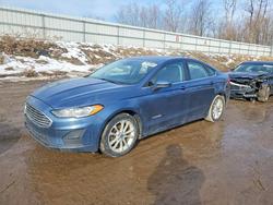 Ford salvage cars for sale: 2019 Ford Fusion se