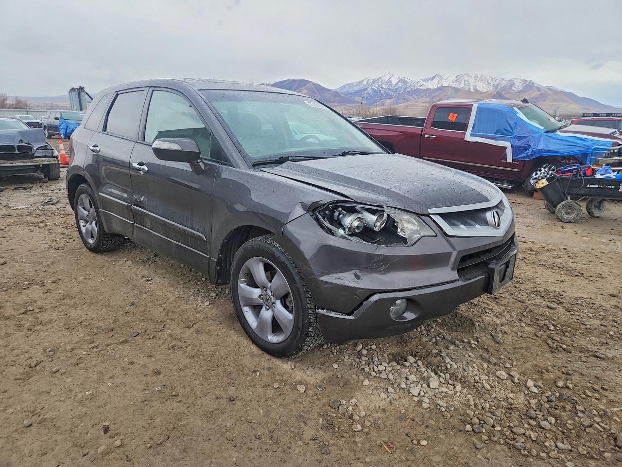 2009 Acura Rdx Technology