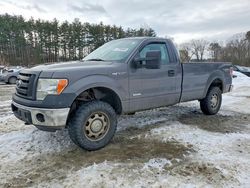 Clean Title Trucks for sale at auction: 2012 Ford F150