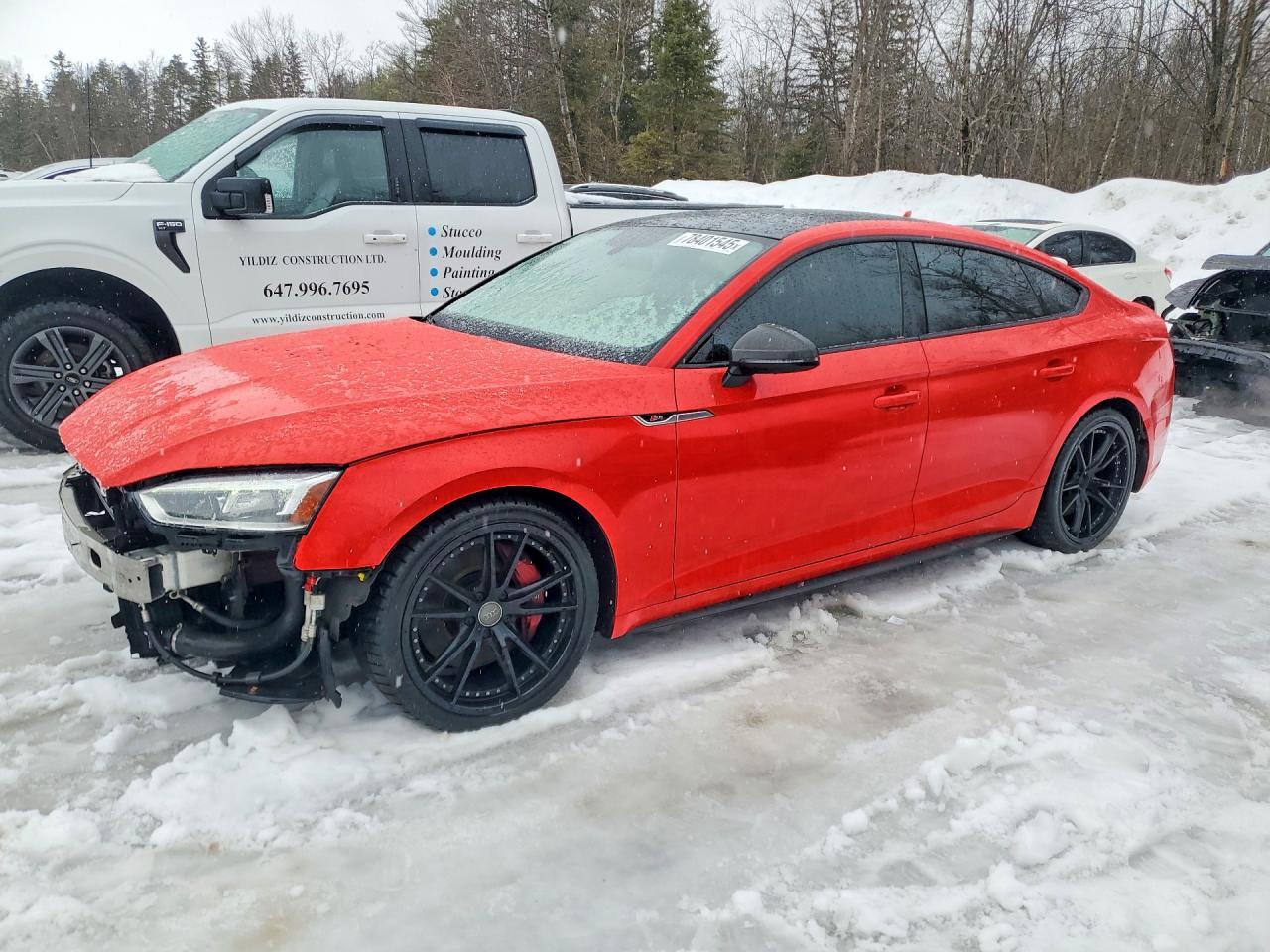 2019 Audi S5 Prestige