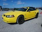 2001 Ford Mustang