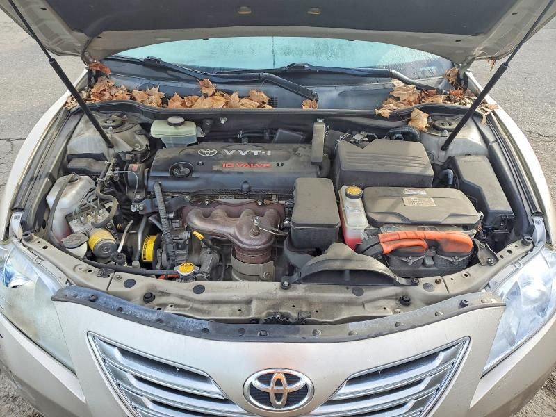 2009 Toyota Camry Hybrid