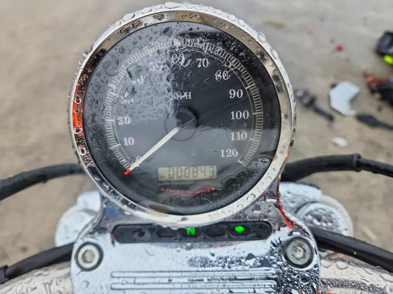 2013 Harley-Davidson XL1200 V