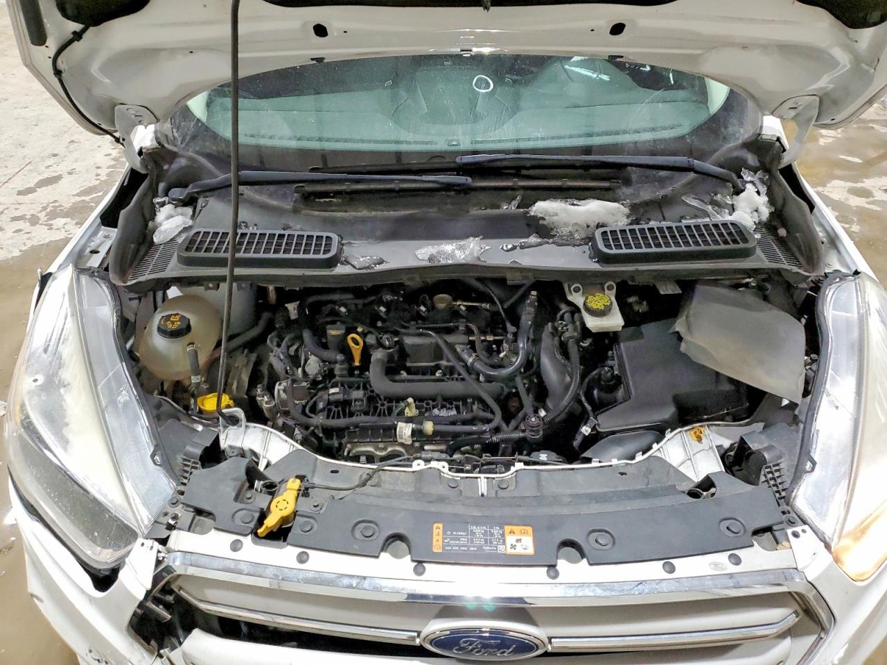 2019 Ford Escape se