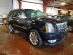 2008 Cadillac Escalade Luxury