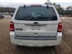 2011 Ford Escape xls