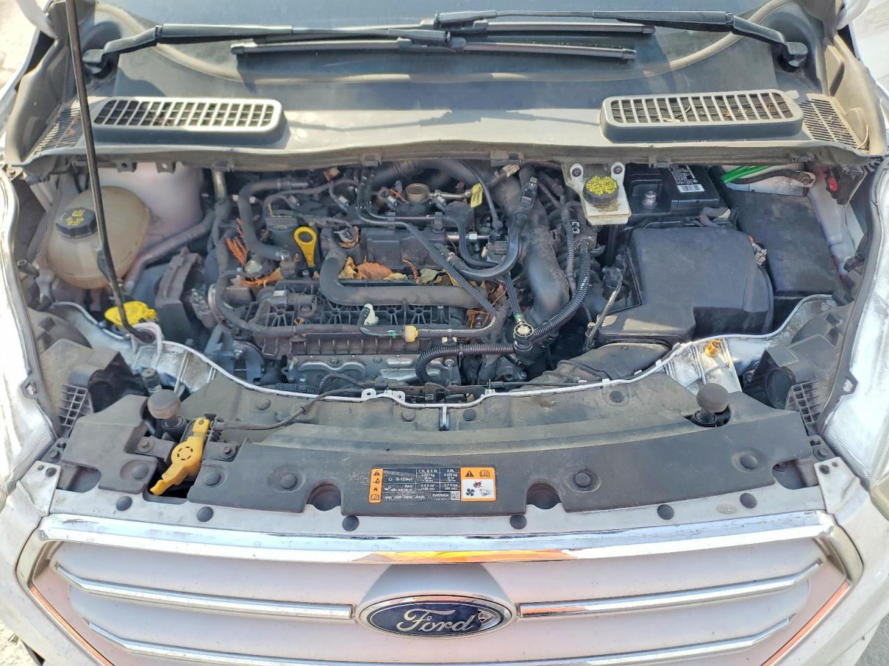 2019 Ford Escape se