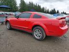 2005 Ford Mustang