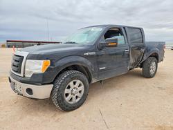 2013 Ford F150 Supercrew en venta en Andrews, TX