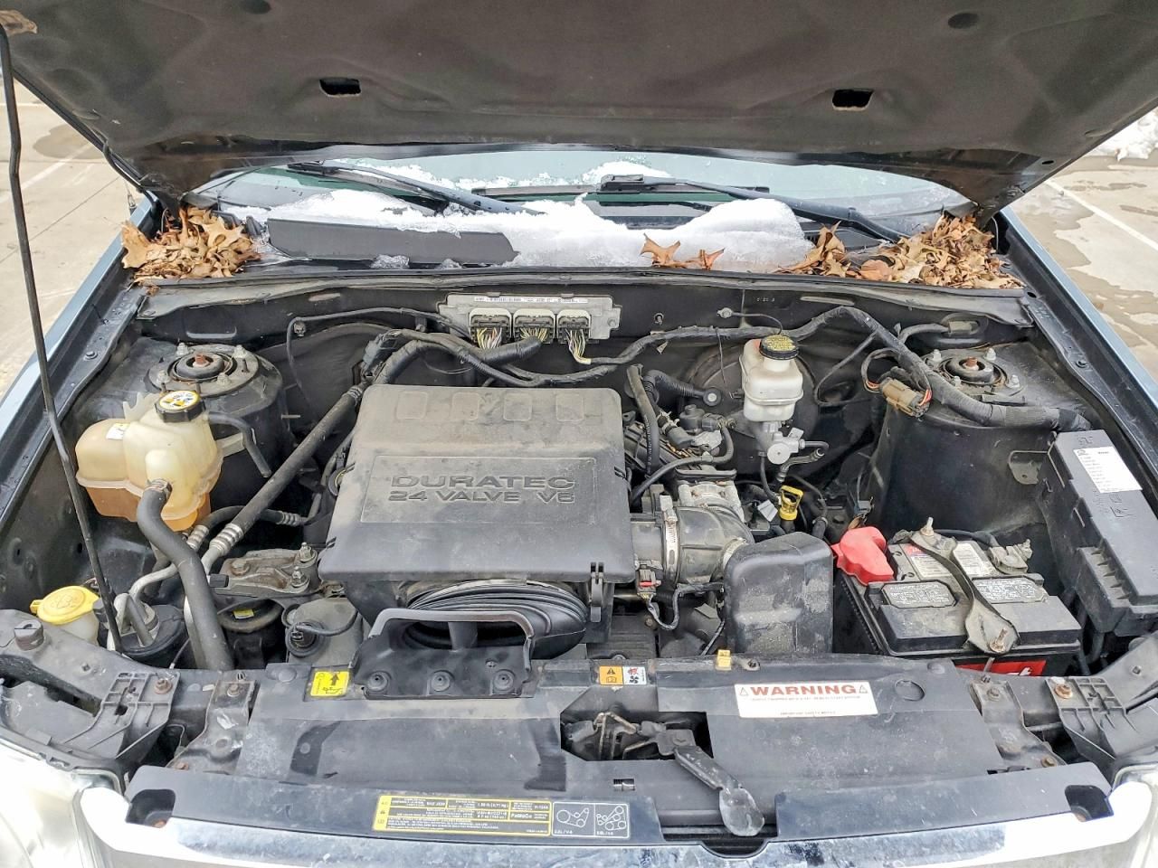 2010 Ford Escape Limited