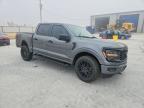 2025 Ford F150 STX