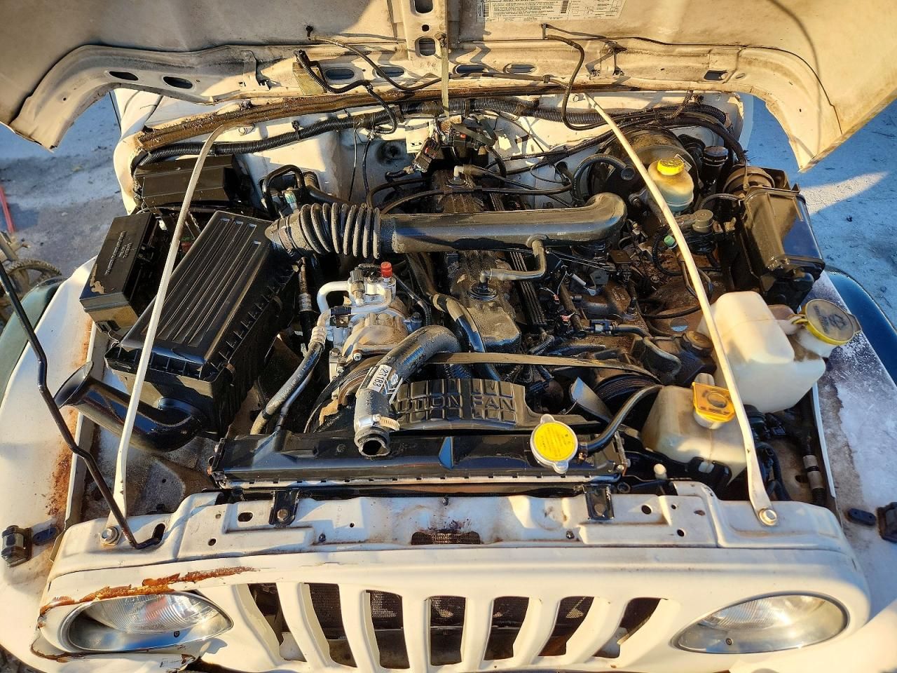 1998 Jeep Wrangler / tj Sport