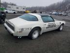 1981 Pontiac Firebird se