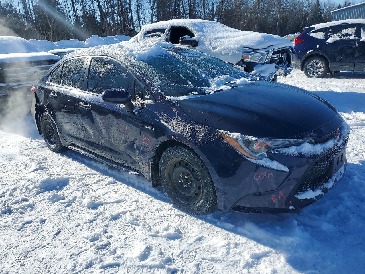 2020 Toyota Corolla le