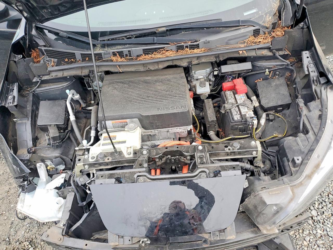 2019 Niss Leaf sv
