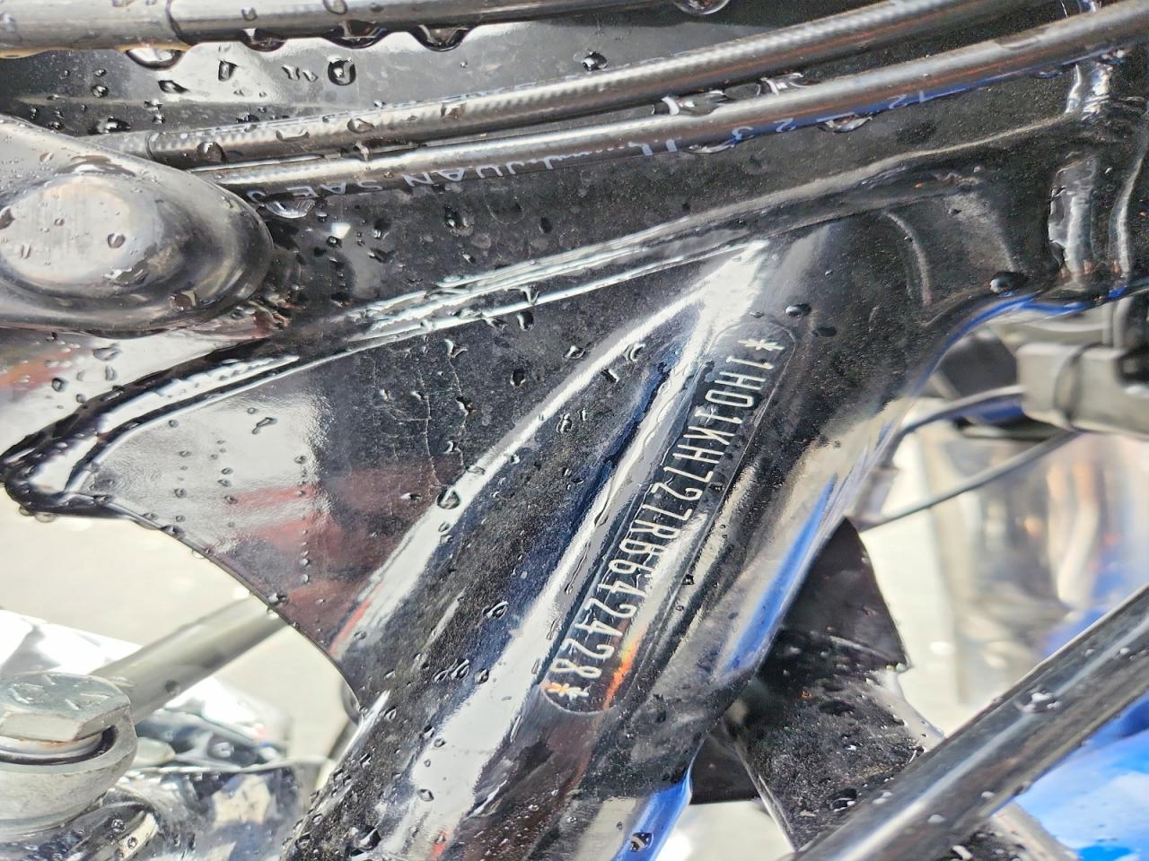2024 Harley-Davidson Fltrx