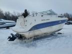 2004 Bayliner Bayliner