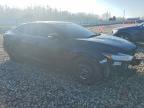2019 Niss Maxima