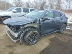 2025 Lexus Nx 350h Base