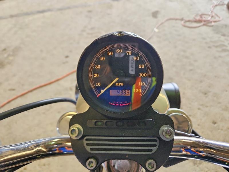 2001 Harley-Davidson XL883