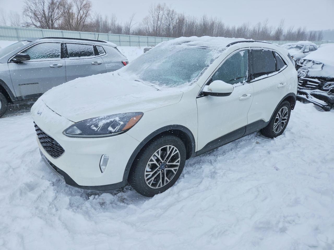 2020 Ford Escape sel