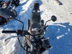 2019 Moto Guzzi