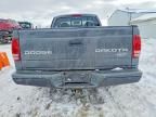 2003 Dodge Dakota SXT