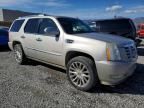 2008 Cadillac Escalade Luxury