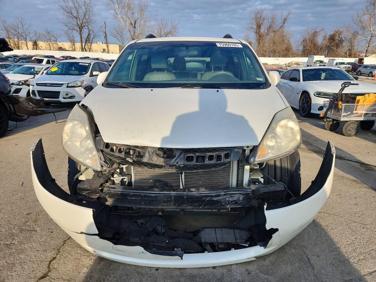 2009 Toyota Sienna xle