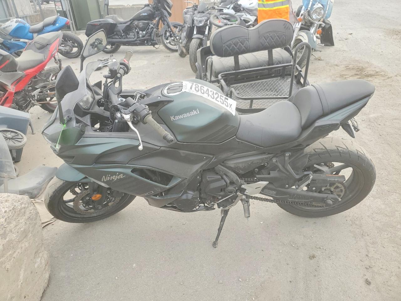 2025 Kawasaki EX650 P