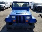 1995 Jeep Wrangler / yj s